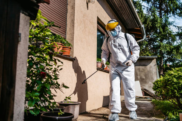 Best Pest Control Near Me in Pine Air, FL