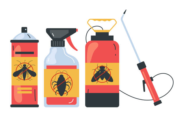 Best Ant Control Services  in Pine Air, FL